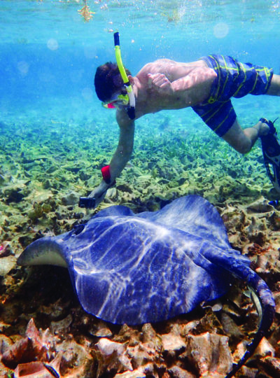 A student goes snorkeling during a Study Away trip to Belize